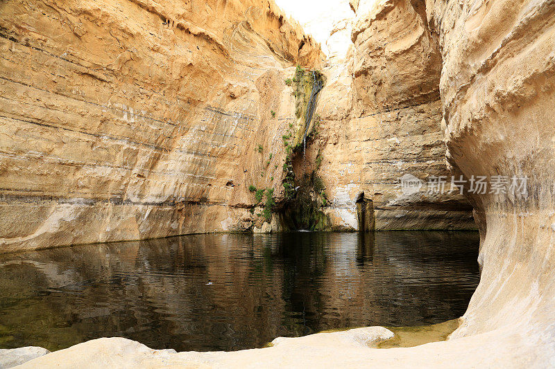 在Ein Avdat峡谷的天然水池。内盖夫沙漠。Avdat。南地。以色列。中东地区。